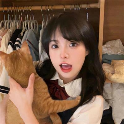 复核调查